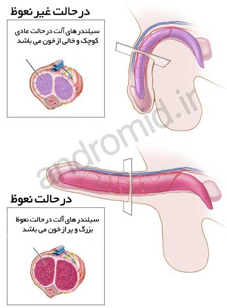 عوارض خودارضایی در بدنسازی + عقب افتادن پریود تا چند روز طبیعی است